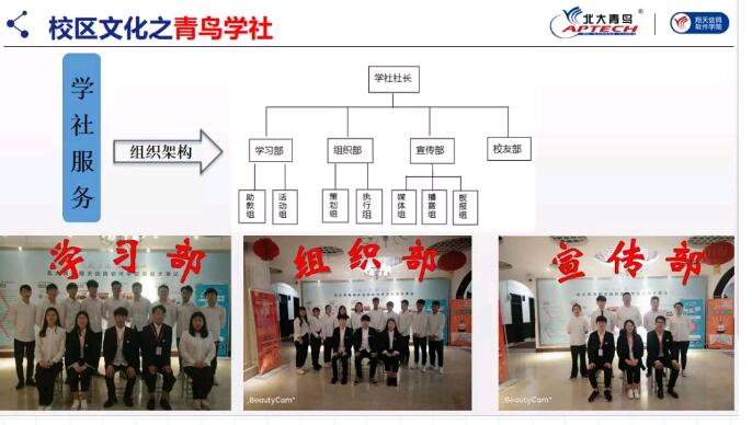 鄭州北大青鳥翔天信鴿學校風采展示