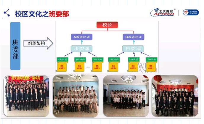 鄭州北大青鳥翔天信鴿學校風采展示