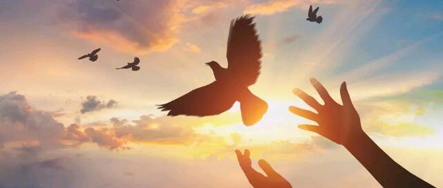 高中畢業(yè)生有哪些出路