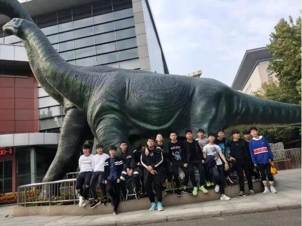 鄭州北大青鳥翔天信鴿啟蒙星1907班素質拓展訓練