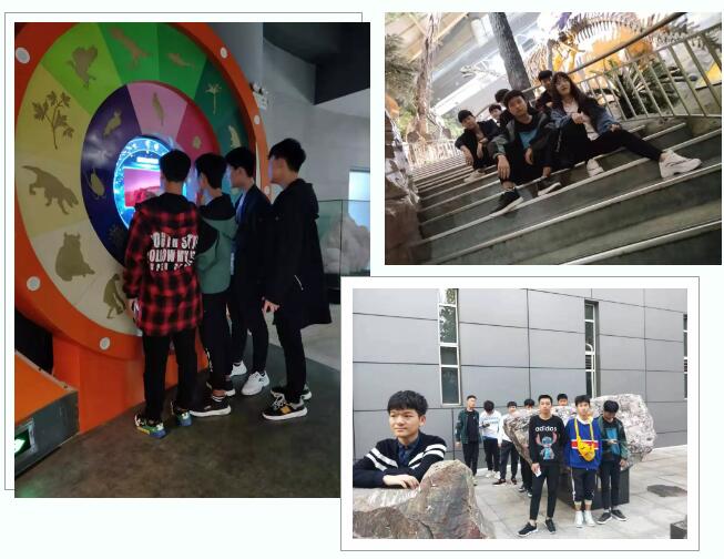 鄭州北大青鳥翔天信鴿啟蒙星1907班素質拓展訓練