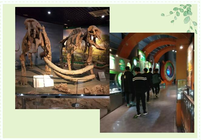 鄭州北大青鳥翔天信鴿啟蒙星1907班素質拓展訓練