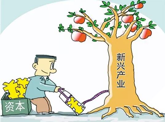 計算機哪個專業最吃香呢