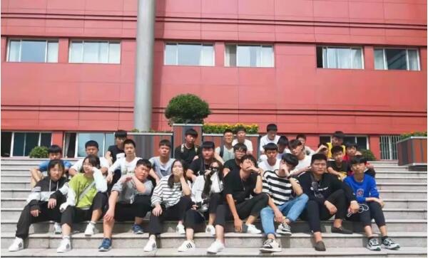 我與鄭州北大青鳥翔天信鴿的故事