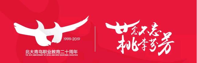 如果無法實現夢想,那就尋求最優解