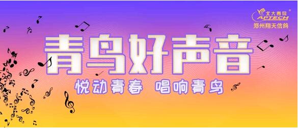 躍動青春,唱響青鳥!北大青鳥翔天信鴿青鳥好聲音初賽結束啦