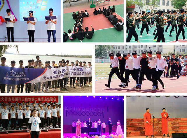 鄭州北大青鳥翔天信鴿校區活動