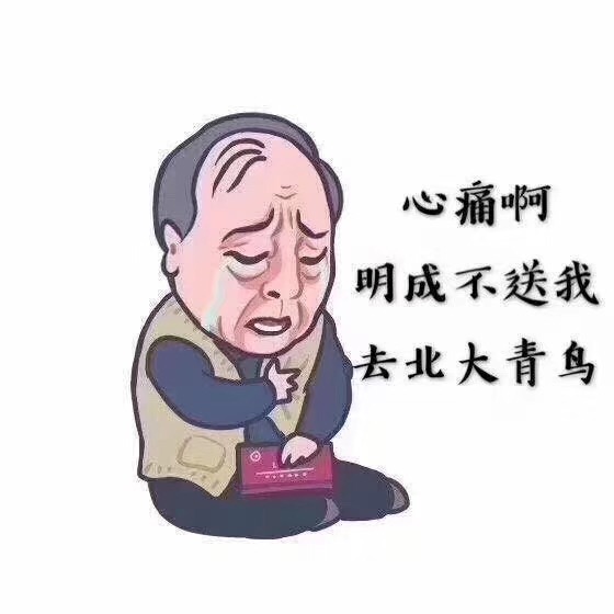 來鄭州北大青鳥學IT不做“蘇明成”