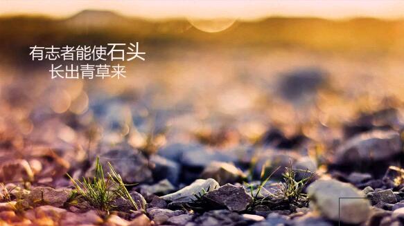 程序員別讓你的偏執毀了你