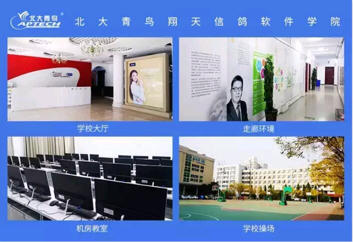 鄭州北大青鳥翔天信鴿計算機專業學校