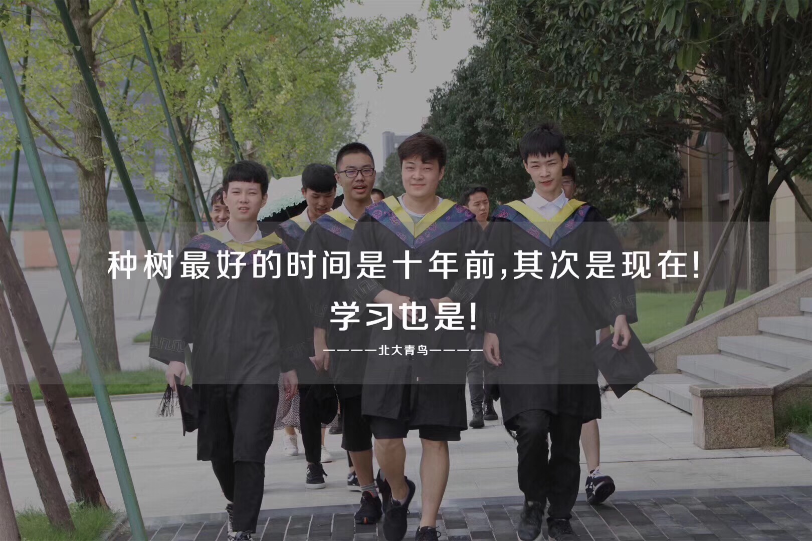 在鄭州學(xué)IT技術(shù)就來鄭州北大青鳥翔天信鴿