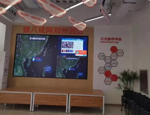 鄭州北大青鳥翔天信鴿學員參觀知名IT企業豬八戒網