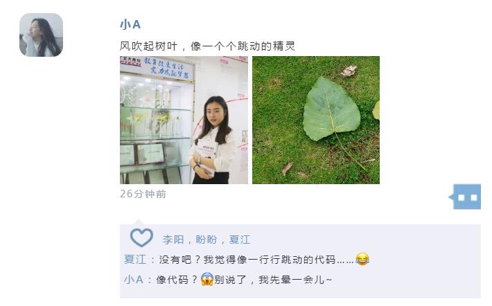 鄭州北大青鳥翔天信鴿學習怎么樣,看畢業后的我們