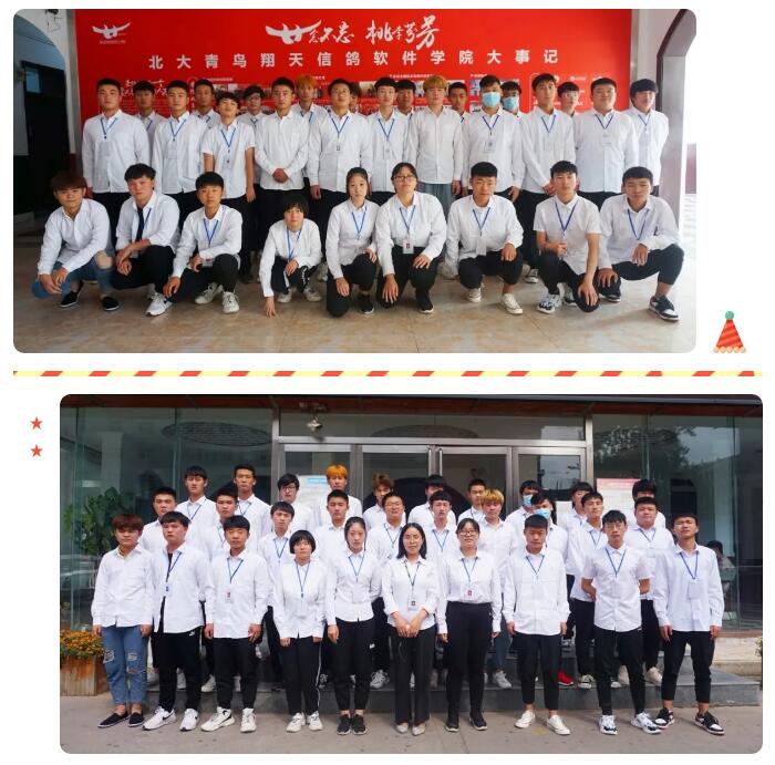 鄭州北大青鳥翔天信鴿教學怎么樣