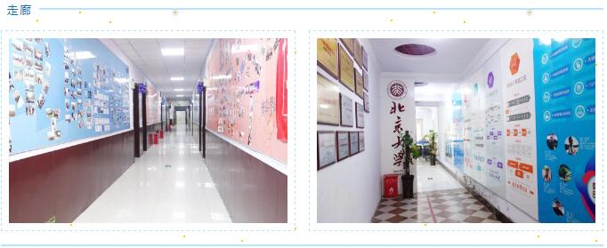 鄭州北大青鳥翔天信鴿我們即將迎來人間四月天