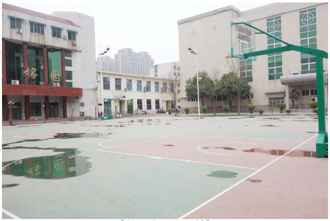 鄭州北大青鳥翔天信鴿我們即將迎來人間四月天