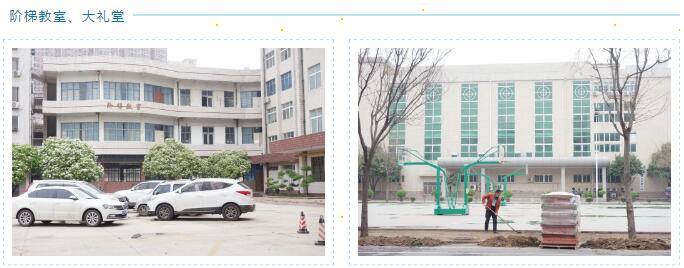 鄭州北大青鳥翔天信鴿我們即將迎來人間四月天