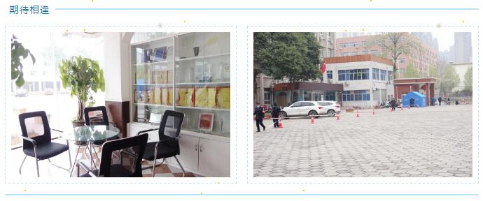 鄭州北大青鳥翔天信鴿我們即將迎來人間四月天