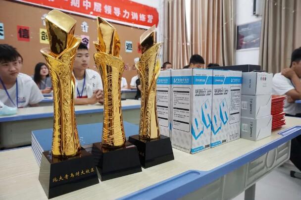 鄭州北大青鳥翔天信鴿2020年第一期IT夏令營圓滿閉營