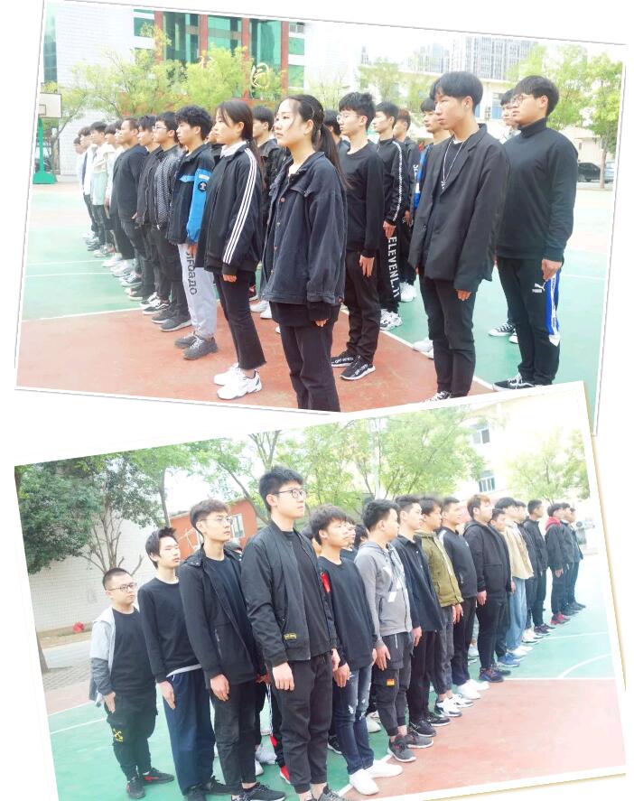 鄭州北大青鳥翔天信鴿你是我永遠的驕傲