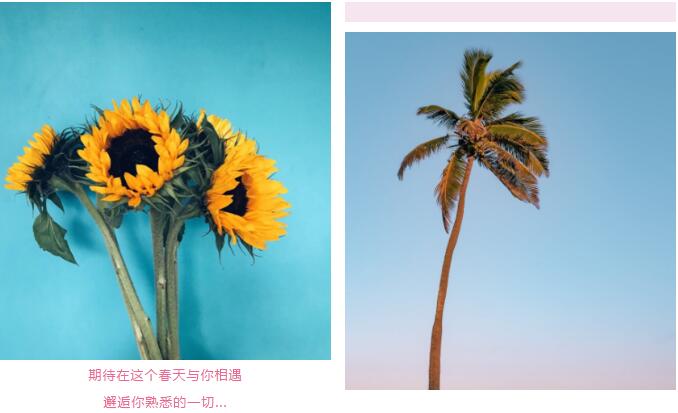 鄭州北大青鳥翔天信鴿線上“運動會”開啟