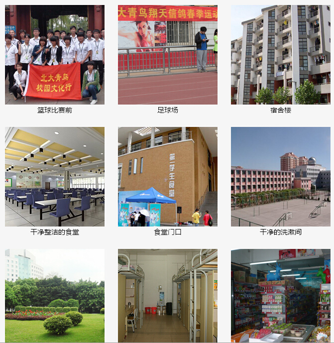 鄭州北大青鳥翔天信鴿中心環境