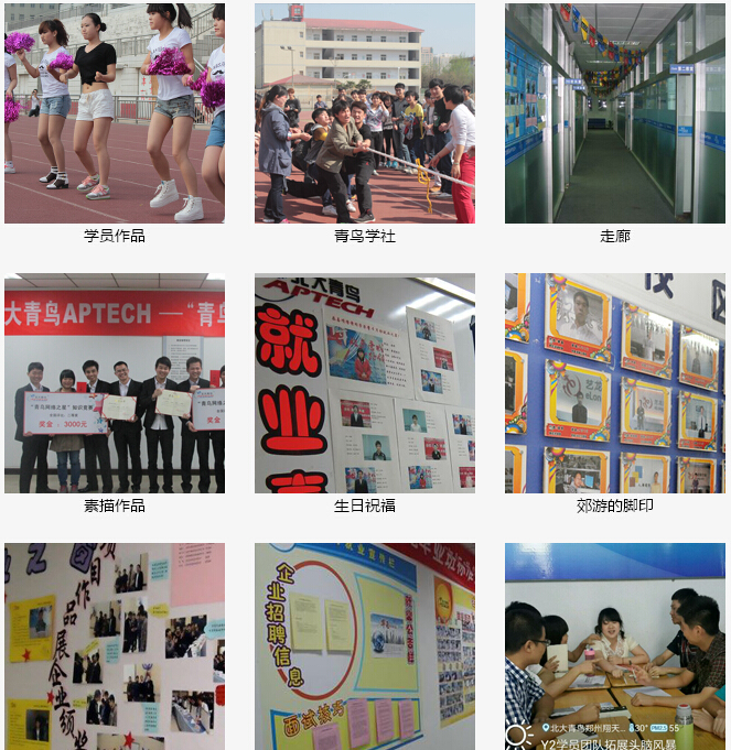 鄭州北大青鳥翔天信鴿中心環境