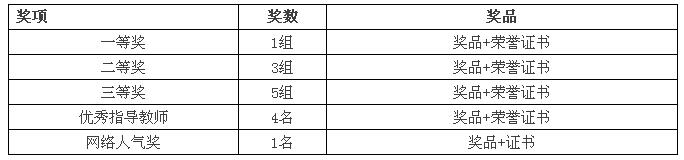 “北大青鳥杯”全國IT精英挑戰賽