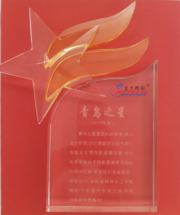 中心楊陽老師獲得全國青鳥之星大獎