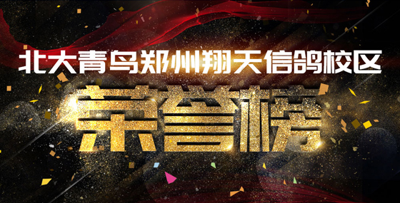 鄭州北大青鳥(niǎo)翔天信鴿財(cái)大校區(qū)榮譽(yù)歷史(2006-2021)