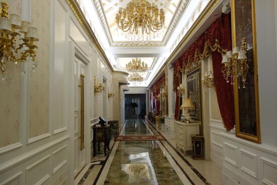 熱烈慶賀鄭州北大青鳥翔天信鴿軟件學院上海校友會勝利召開