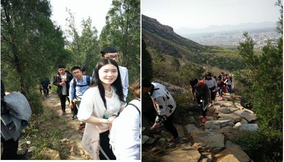 青山綠水任我行,只緣身在信鴿中