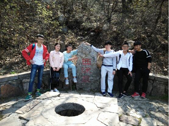 青山綠水任我行,只緣身在信鴿中