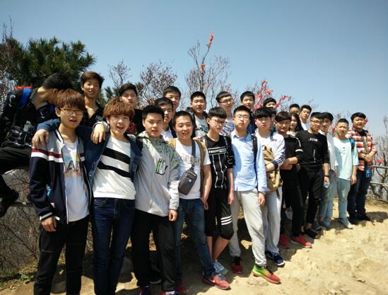 青山綠水任我行,只緣身在信鴿中