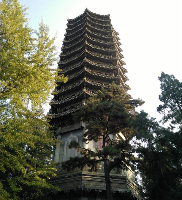 鄭州北大青鳥翔天信鴿校區(qū)“校園文化行活動”