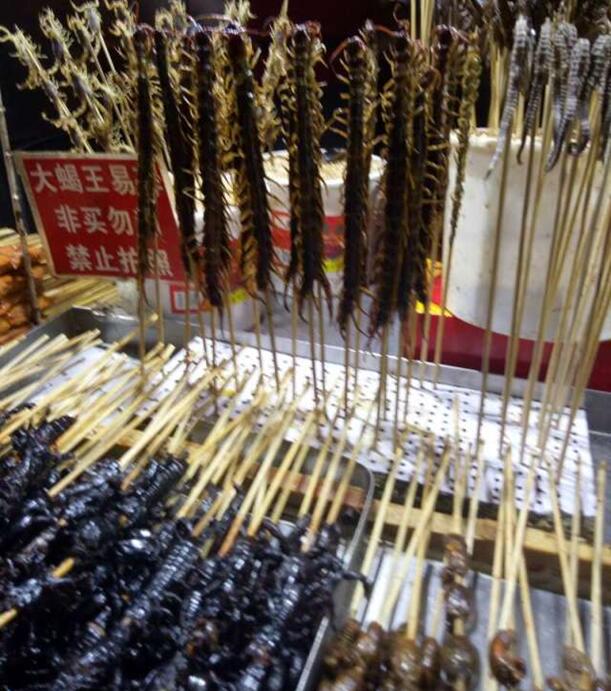 鄭州北大青鳥翔天信鴿校區(qū)2016年“校園文化行活動”