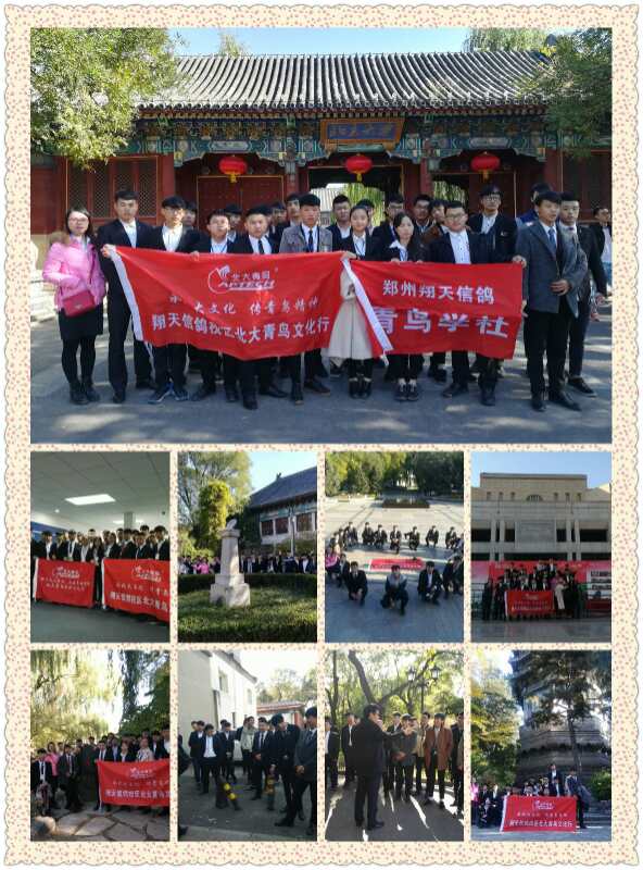 祝賀鄭州北大青鳥翔天信鴿2017年北大校園文化行活動圓滿結束