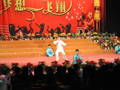 武術《男兒當自強》