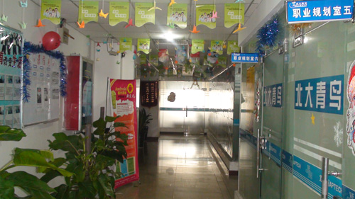 圣誕節日氣氛濃厚的走廊