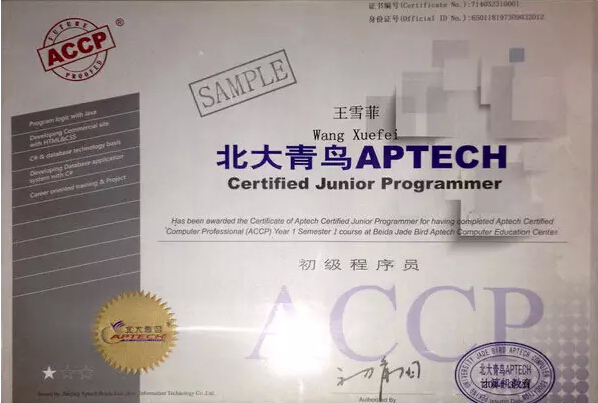 初級程序員認證