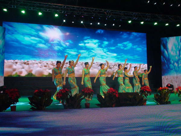 鄭州北大青鳥翔天信鴿十周年校慶