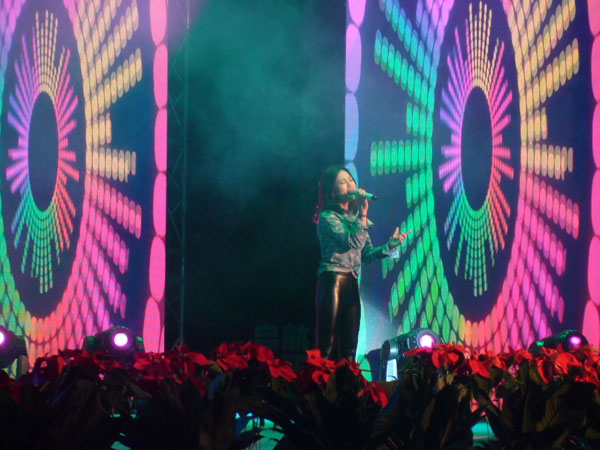 鄭州北大青鳥翔天信鴿十周年校慶