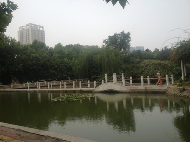 鄭州北大青鳥翔天信鴿校區觀賞湖